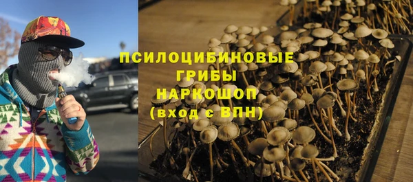 СК Богородицк