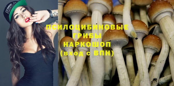 гидропоника Беломорск