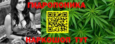 винт Кандалакша