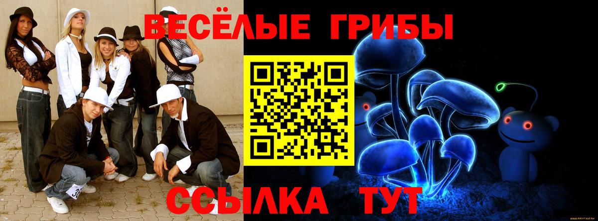 Псилоцибиновые грибы прущие грибы Кушва